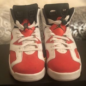Air Jordan 6 retro